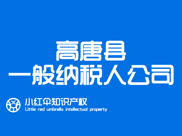 高唐会计公司一般纳税人企业代理(lǐ)记账怎么收费及财務(wù)外包注意事项